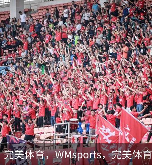 完美体育，WMsports，完美体育官方，完美体育平台，完美体育下载简介